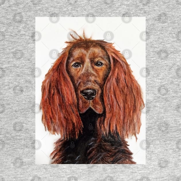 Red Setter by Indicative of Hannah